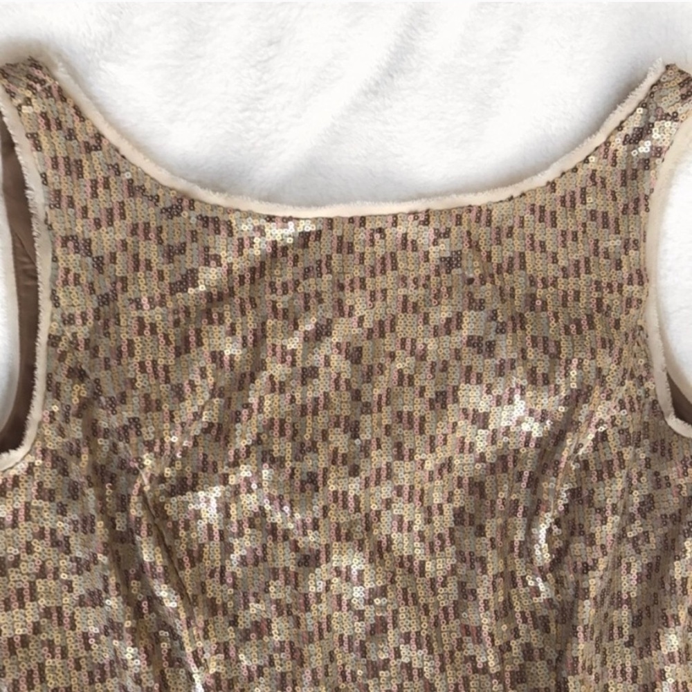 The Limited Cream Sleeveless Sequin A-Line Dress - Picture 6 of 7